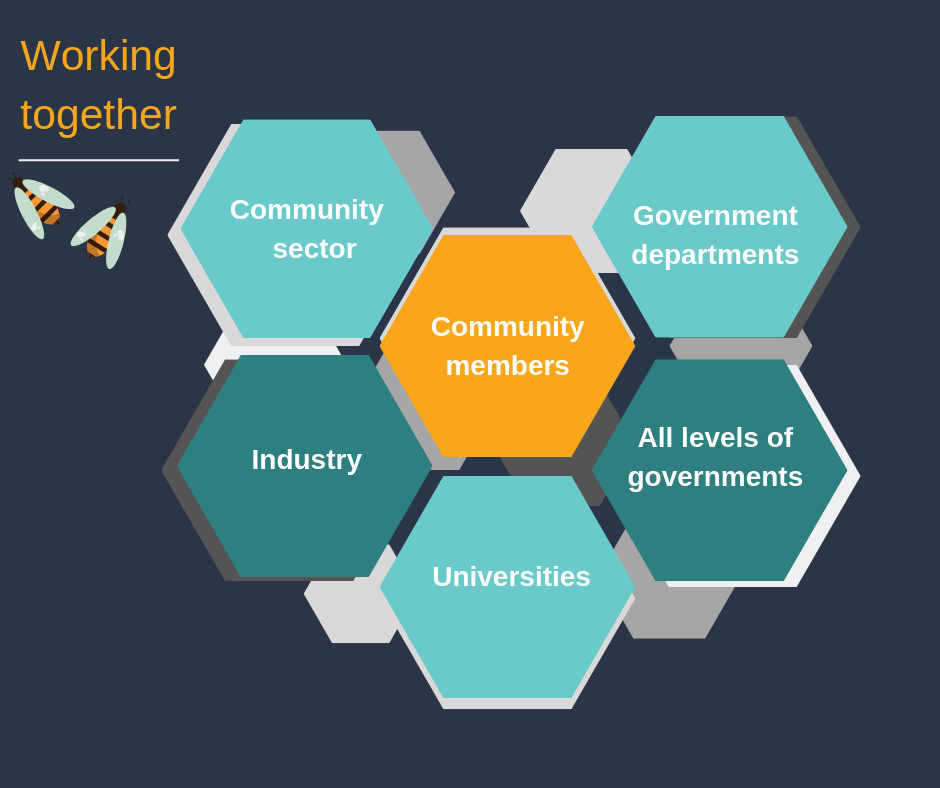 This diagram represents working together. There are five hexagons that look like a beehive. The top left hand hexagon is in a light blue colour and says community sector. The middle hexagon is in yellow and says community members. The bottom left hexagon is in a teal colour and says industry. The bottom middle hexagon is in light blue and says universities. The bottom right hexagon is in teal and says all levels of government. And top right hexagon is in a light blue colour and says government departments. There are also hexagons in behind the six front hexagons, insinuating there are more than just the six levels at the front. 