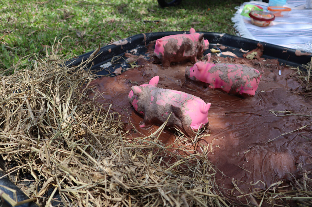 toy pigs in a pool of mud